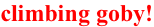 shapeimage_1_link_1